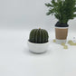 https://cdn.shopify.com/s/files/1/0652/8391/6020/files/CAND156GN-cactus-golden-barrel-candle.jpg?v=1670111395